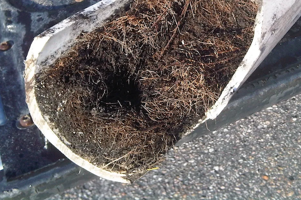 Sewer and drain cleaning in Newnan